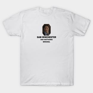 Sam Winchester Did Nothing Wrong T-Shirt